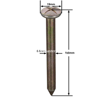 ตะปูสำรวจเหล็ก (100 มม.)