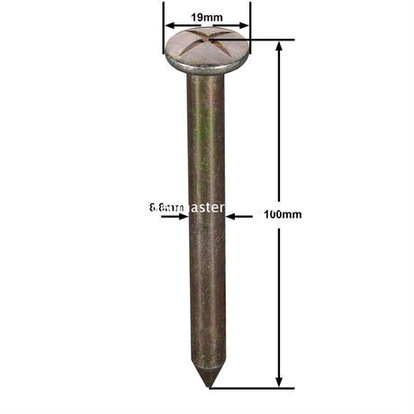 ตะปูสำรวจเหล็ก (100 มม.)
