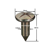 ตะปูสำรวจเหล็ก (30 มม.)