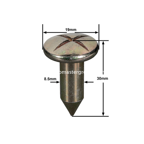 ตะปูสำรวจเหล็ก (30 มม.)