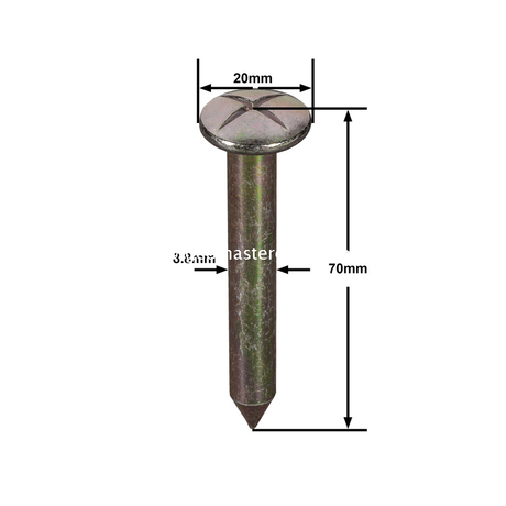 ตะปูสำรวจเหล็ก (70 มม.)