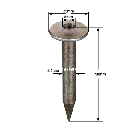 ตะปูสำรวจเหล็ก (75 มม.)